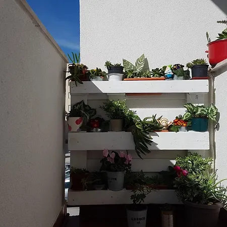 Romana With A Spacious Terrace 公寓 *