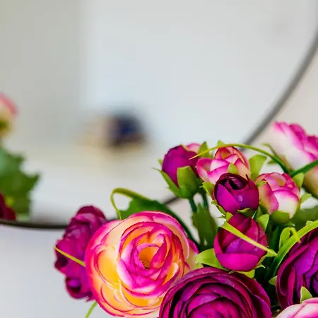 Apartman Romana With A Spacious Terrace