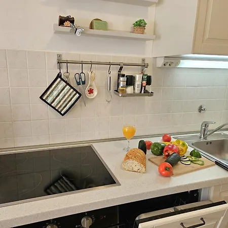 Apartman Romana With A Spacious Terrace *