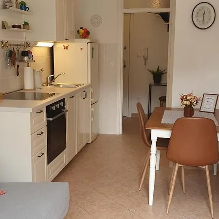 Apartman Romana With A Spacious Terrace