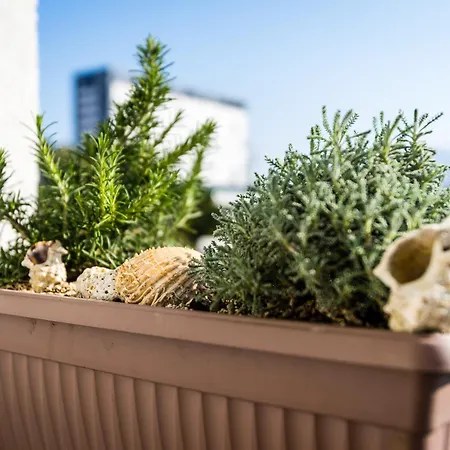 Romana With A Spacious Terrace Апартаменти