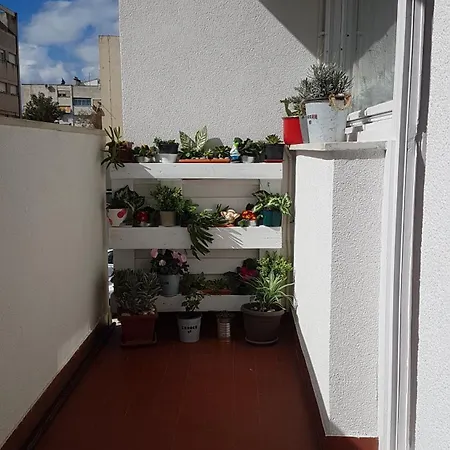 Romana With A Spacious Terrace