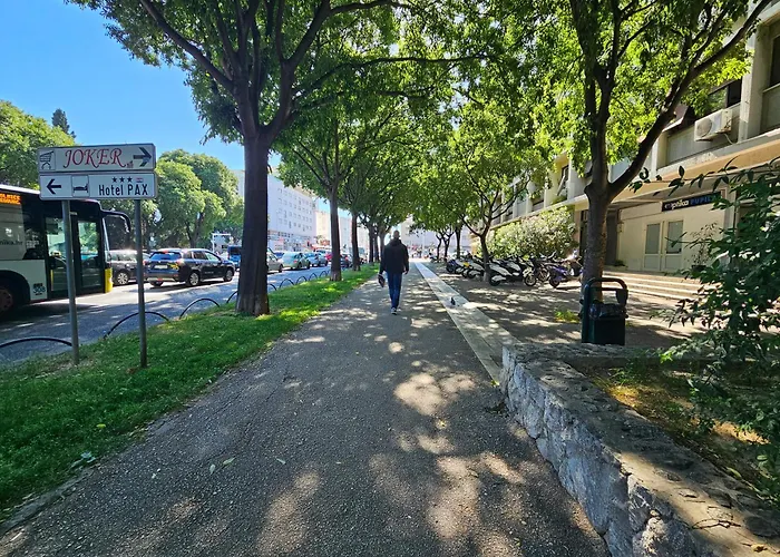 Romana With A Spacious Terrace *