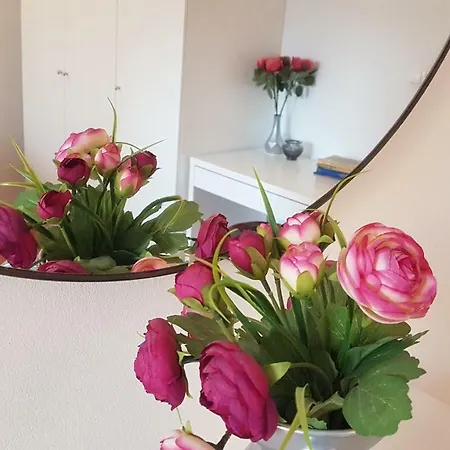 Romana With A Spacious Terrace Appartement Split